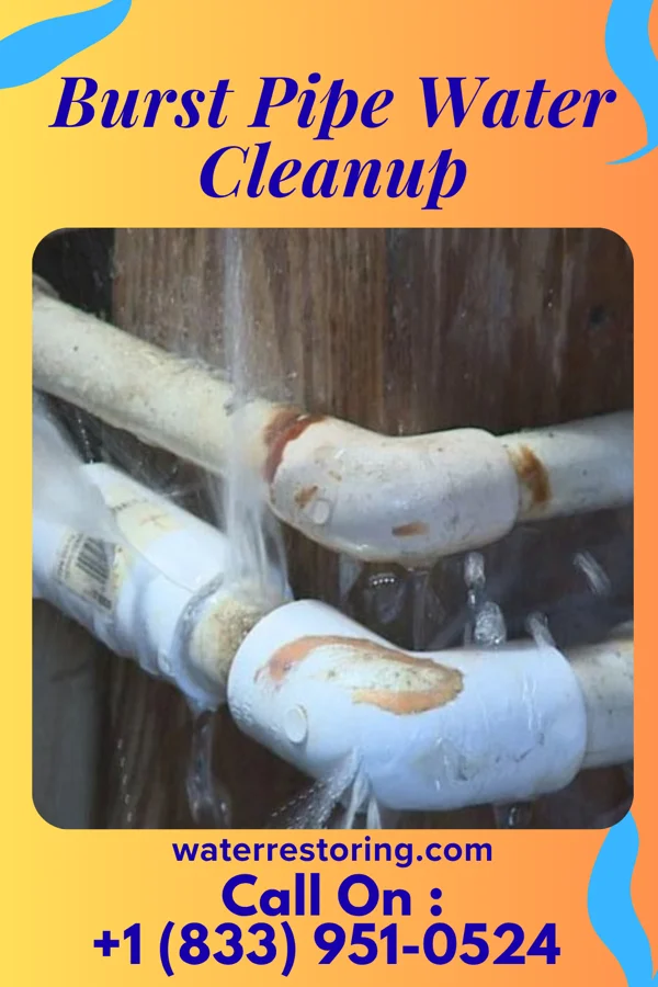 Burst Pipe Water Cleanup in Rocky Mount, NC