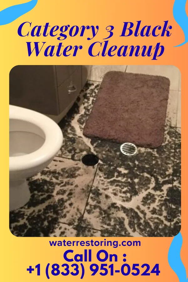 Category 3 Black Water Cleanup in Rocky Mount, NC