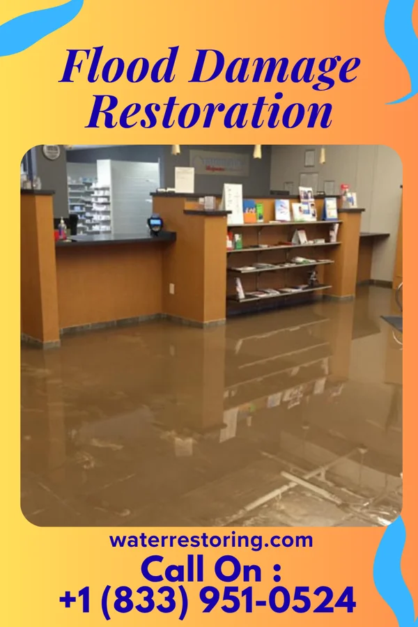 Flood Damage Restoration in Rocky Mount, NC